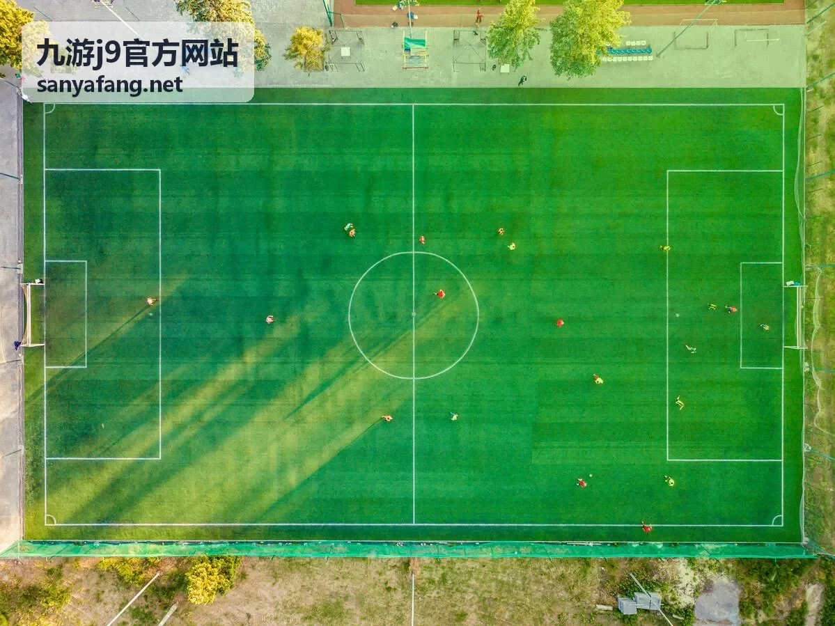 九游j9官方网站安全设置建议配图